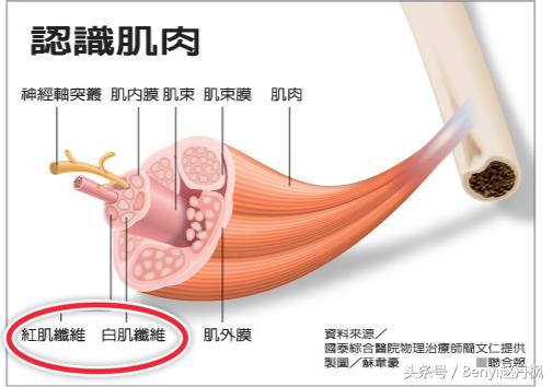 红白肉指的是什么意思,红白肉  第5张