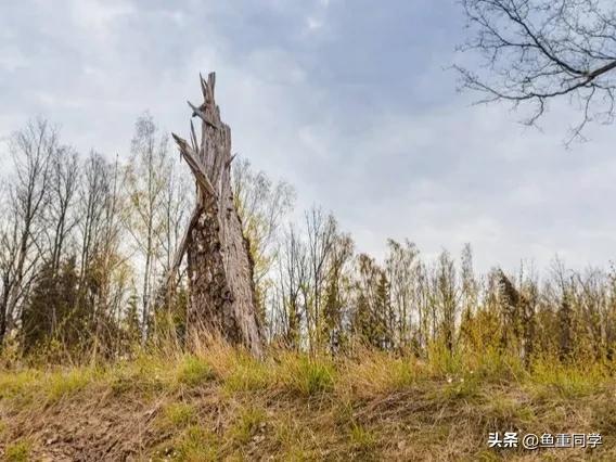 生肖龙适合佩戴什么生肖好,生肖龙适合戴什么生肖  第6张