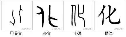 中和玉能组成什么字,中和玉组成什么合体字