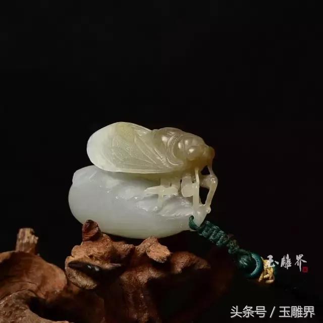 蝉状的玉有什么寓意吗,玉上面有蝉的寓意  第4张