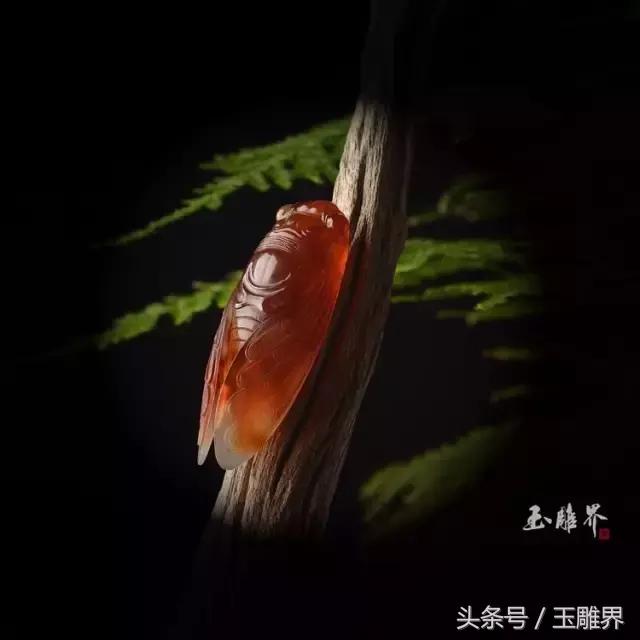 蝉状的玉有什么寓意吗,玉上面有蝉的寓意  第7张