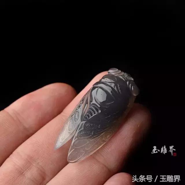 蝉状的玉有什么寓意吗,玉上面有蝉的寓意  第6张