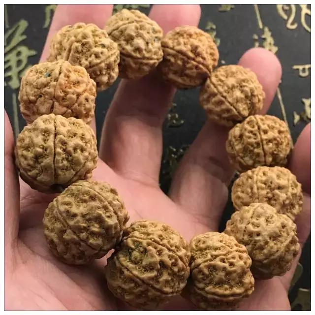 蜂窝双龙大金刚价格,蜂窝双龙金刚菩提多少钱  第3张