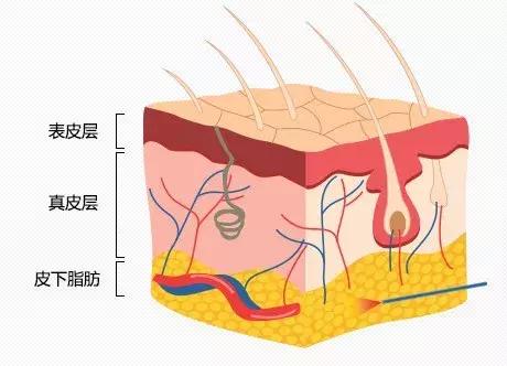 脸胖的人带什么耳环,脸大MM适合什么耳环  第10张