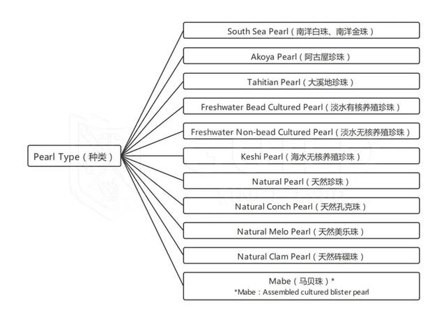 珍珠线是什么颜色的,珍珠弹力线都用什么颜色  第5张