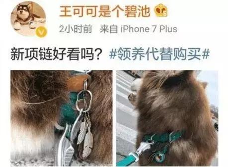 纯银项链都有什么牌子好的,纯银项链哪个国产牌子好  第1张