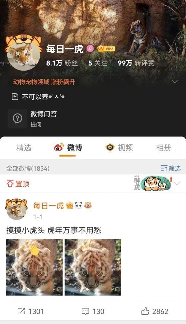 挂坠什么最好用,挂坠一般几克最好  第20张