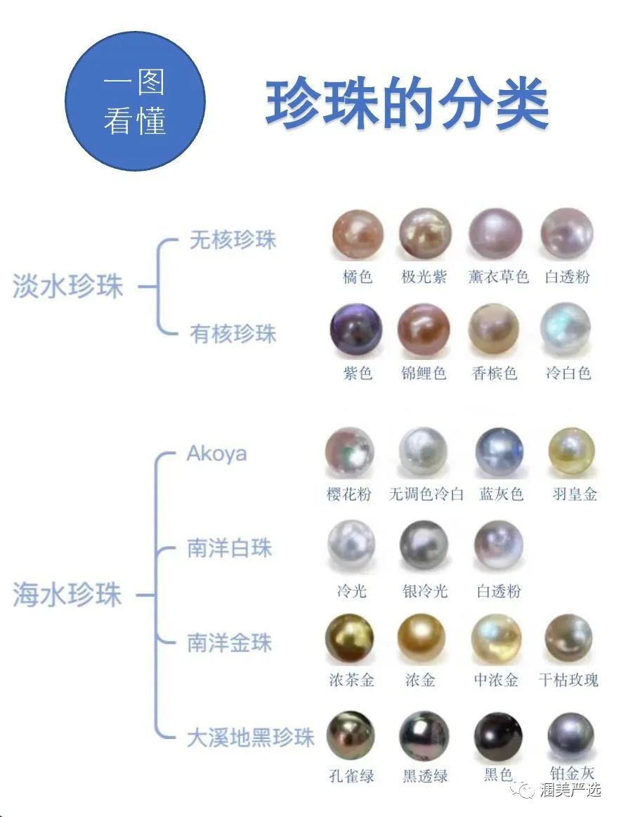 看完就懂了！珍珠分类大全