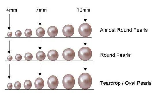 看完就懂了！珍珠分类大全