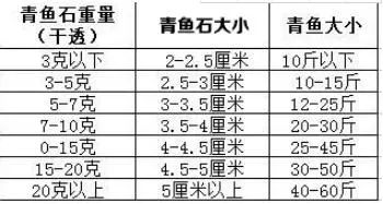 打磨后质地堪比玉石！青鱼身上有块宝——青鱼石-第6张图片-