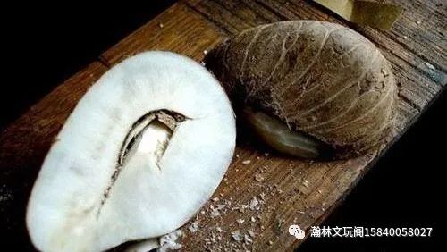 用菩提根和象牙果，DIY“土豪文玩”！鸟头和象牙不能玩！