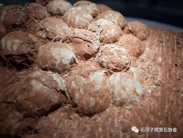 快看你心爱的石头上榜没！很多奇石都在这！-第22张图片-