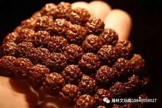 你对三大菩提的误解太深了！什么是三大菩提？你了解三大菩提吗？