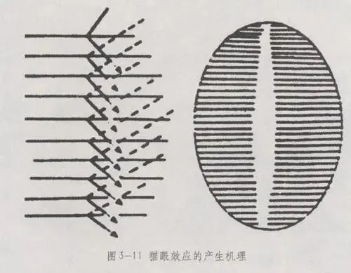 新奇碧玉品种到底值不值？为何3年涨5倍？-第4张图片-