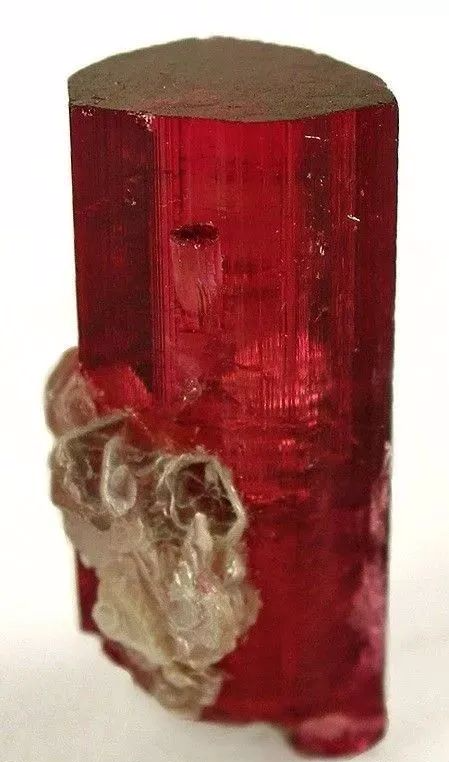 卢比莱（Rubellite）：碧玺家族的“红宝石”-第3张图片-