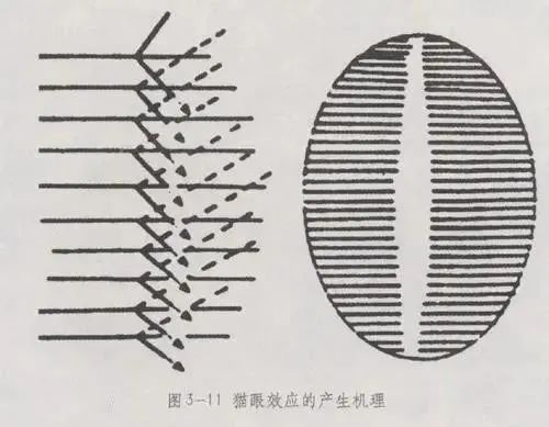 猫眼碧玉品种到底值不值？可是涨势喜人！-第4张图片-