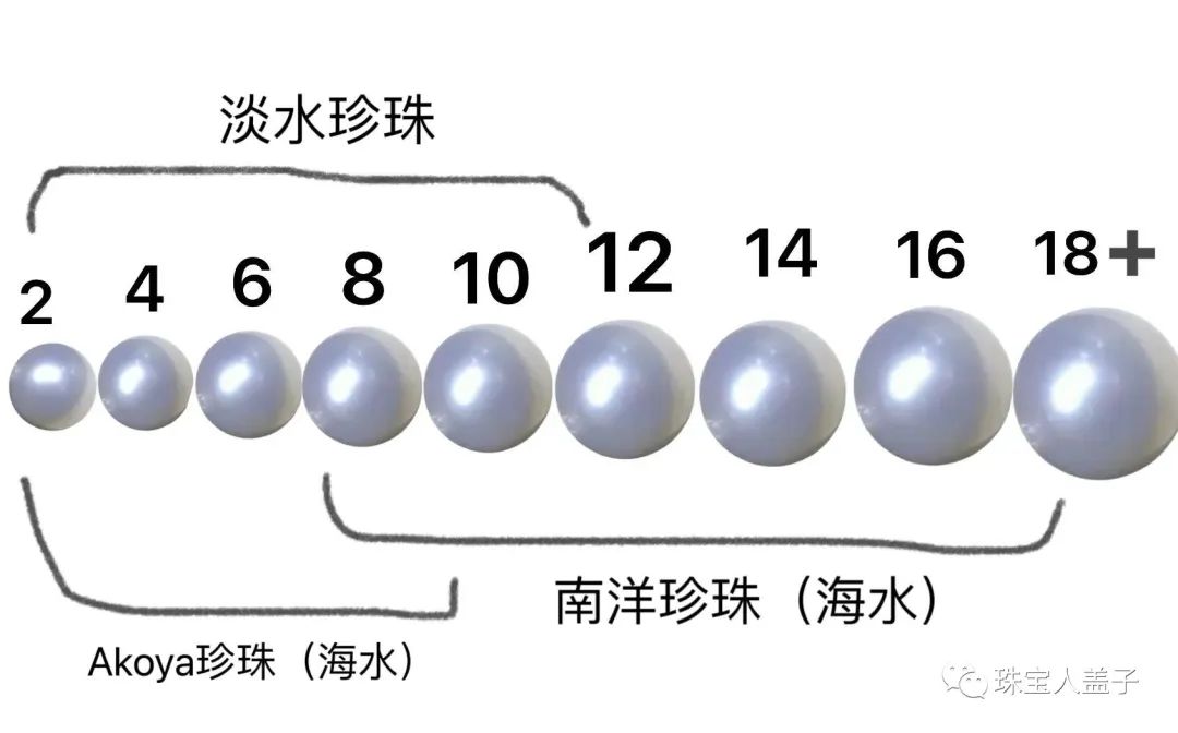 海水珍珠与淡水珍珠的区别在哪里？海水珍珠好还是淡水珍珠好？-第5张图片-